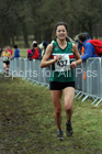Senior women, 2018 Northern Cross Country Champs., Harewood House, Leeds. Photo: David T. Hewitson/Sports for All Pics